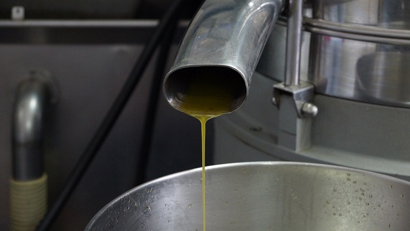 olive oil