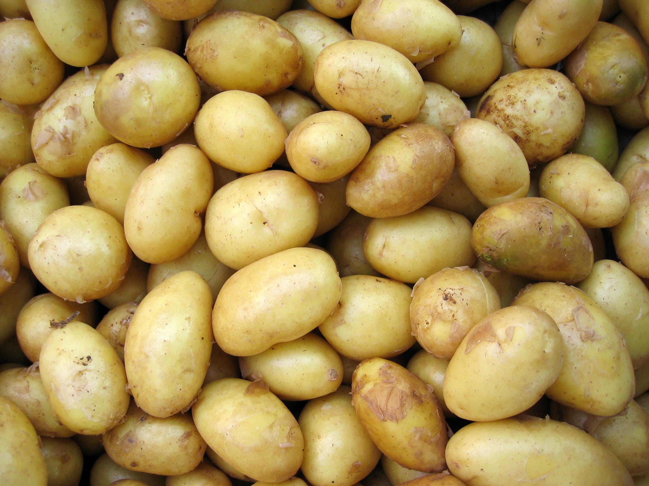 Potato Crisp Manufacturing